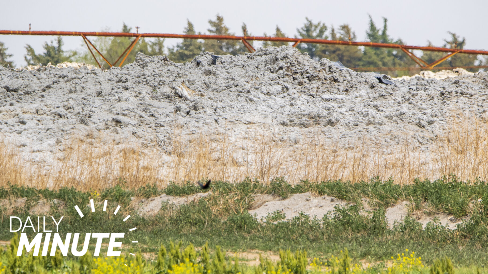 Daily Minute | The latest Lincoln-area news for May 30